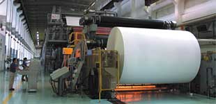 東莞天龍紙業有限公司